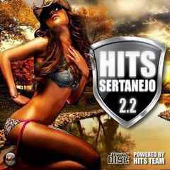 Hits Sertanejo 2.2 (2011)